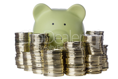 Piggy Bank and Coins