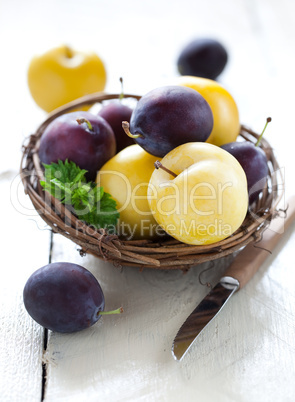 Zwetschgen und gelbe Pflaumen / blue and yellow plums