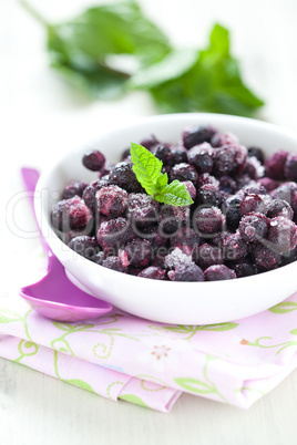 gefrorene Heidelbeeren in Schale / frozen blueberries in bowl