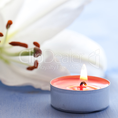 Kerze und Lilie / candle and lily