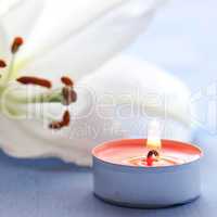 Kerze und Lilie / candle and lily
