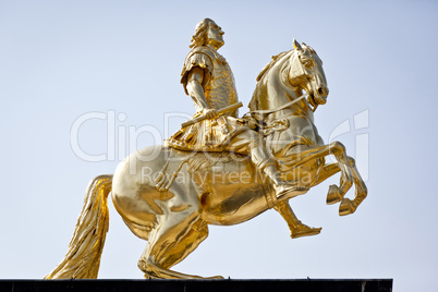 golden rider