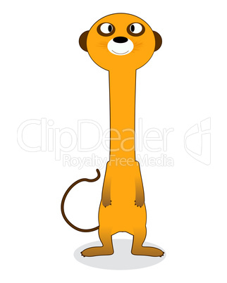 Clip art meerkat