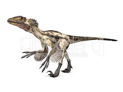 Deinonychus