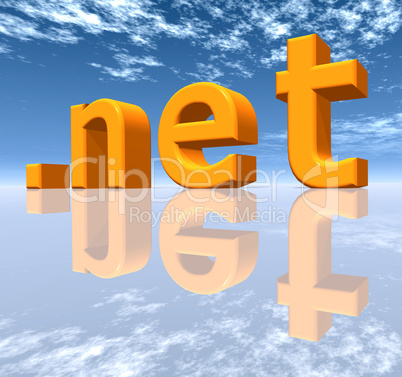 NET Top Level Domain