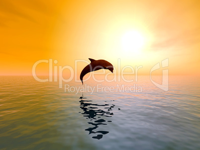 Springender Delfin mit Sonnenuntergang