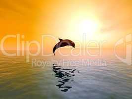 Springender Delfin mit Sonnenuntergang