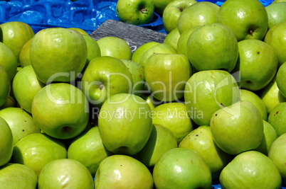 green apples fruit background