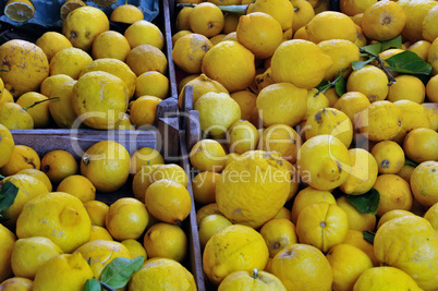 lemons in crates background