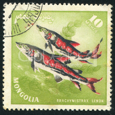 postage stamp