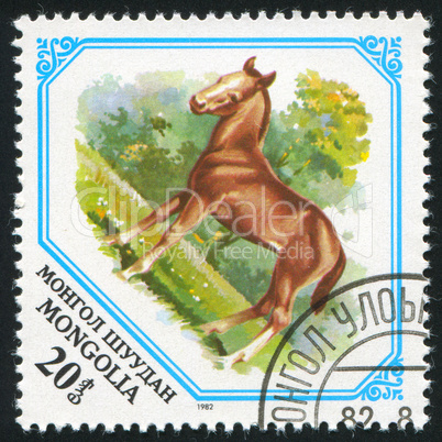 postage stamp