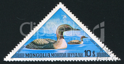 postage stamp