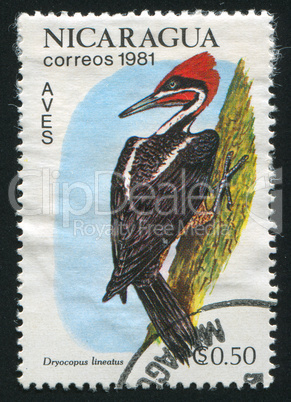 postage stamp