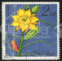 postage stamp