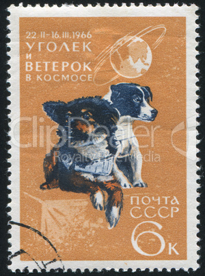 postage stamp