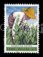tobacco harvest vintage postage stamp