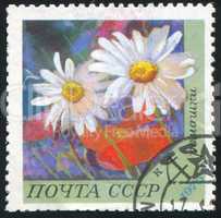 poststamp flower