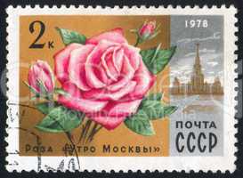 poststamp flower