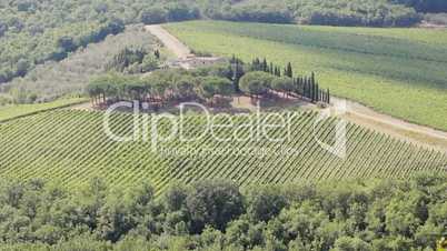 Chianti, Italian wine and vineyards, Tuscany, Italy