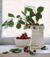 cherry and snail in vintage still life