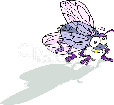 cartoon fly