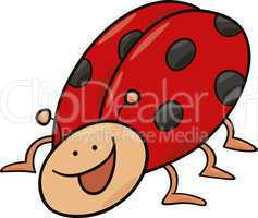 funny ladybug