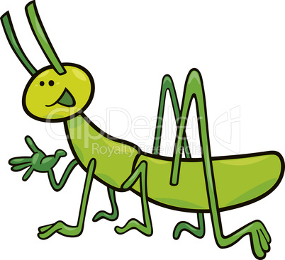 funny grasshopper