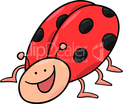cute ladybug