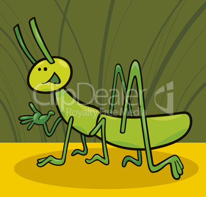 funny grasshopper