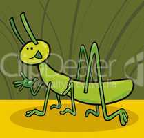 funny grasshopper