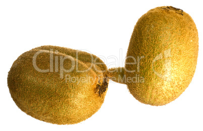 kiwifruit