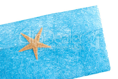 Sea star blue envelope