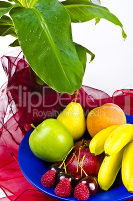 fruit bowls