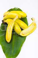 Banana sheet with bananas