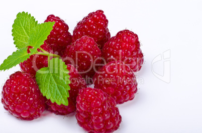 Raspberry (Rubus idaeus)