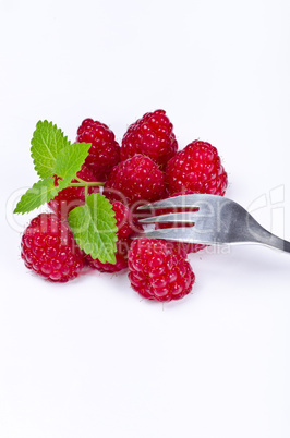 Raspberry (Rubus idaeus)