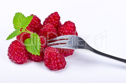 Raspberry (Rubus idaeus)