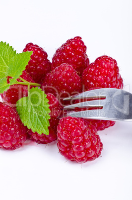 Raspberry (Rubus idaeus)