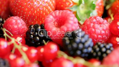 berrys - strawberry, currant, blackberry, raspberry...