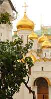 Churches of the Moscow Kremlin
