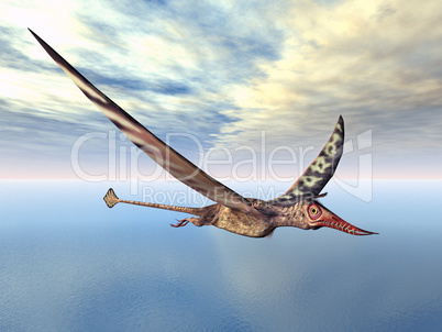 Flugsaurier Rhamphorhynchus