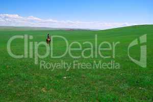 Horseback rider in grassland