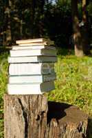 Stack of books laying outdoors on the stump