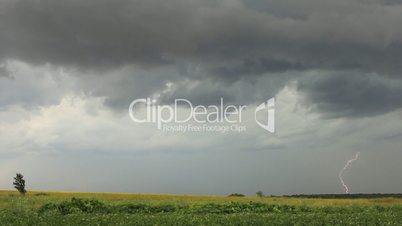 Rain clouds and lightning on sky above green cultivated field