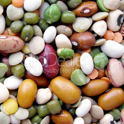 Beans salad