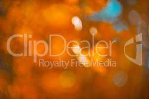 abstract orange bokeh, perfect autumn background