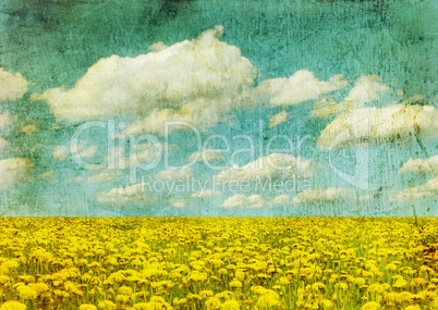vintage image of dandelion field.