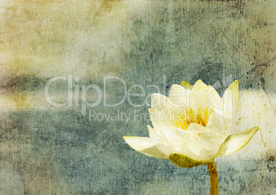 grunge floral background with space for text or image