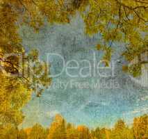 vintage background of leaves, trees and blue sky