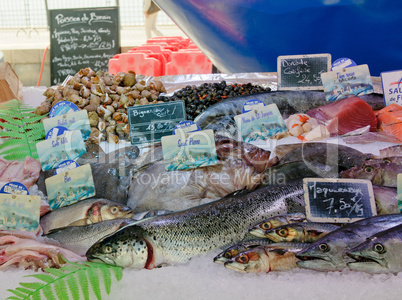 Fresh fish at a fish market in Bordeaux, France